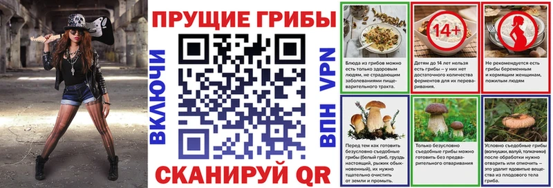 Псилоцибиновые грибы Cubensis  Купить закладки  Иноземцево 